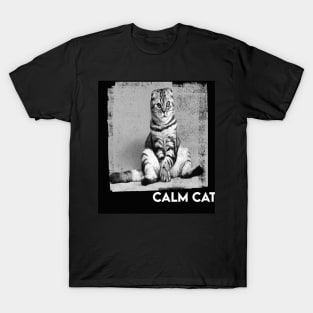 Calm cute cat T-Shirt